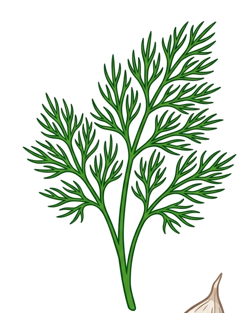 Dill Garnish