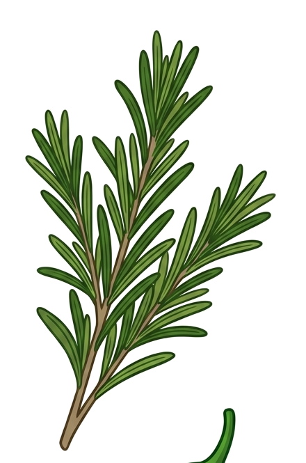 Rosemary Branch